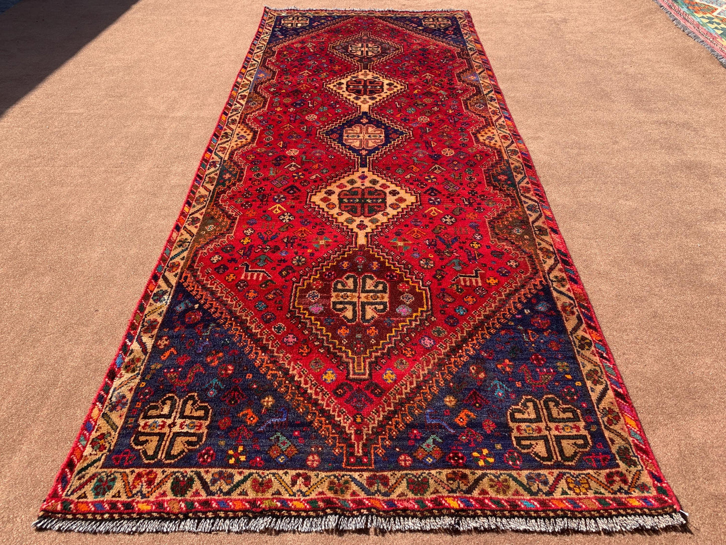 4x10 ft Vintage Pictorial Runner Rug,