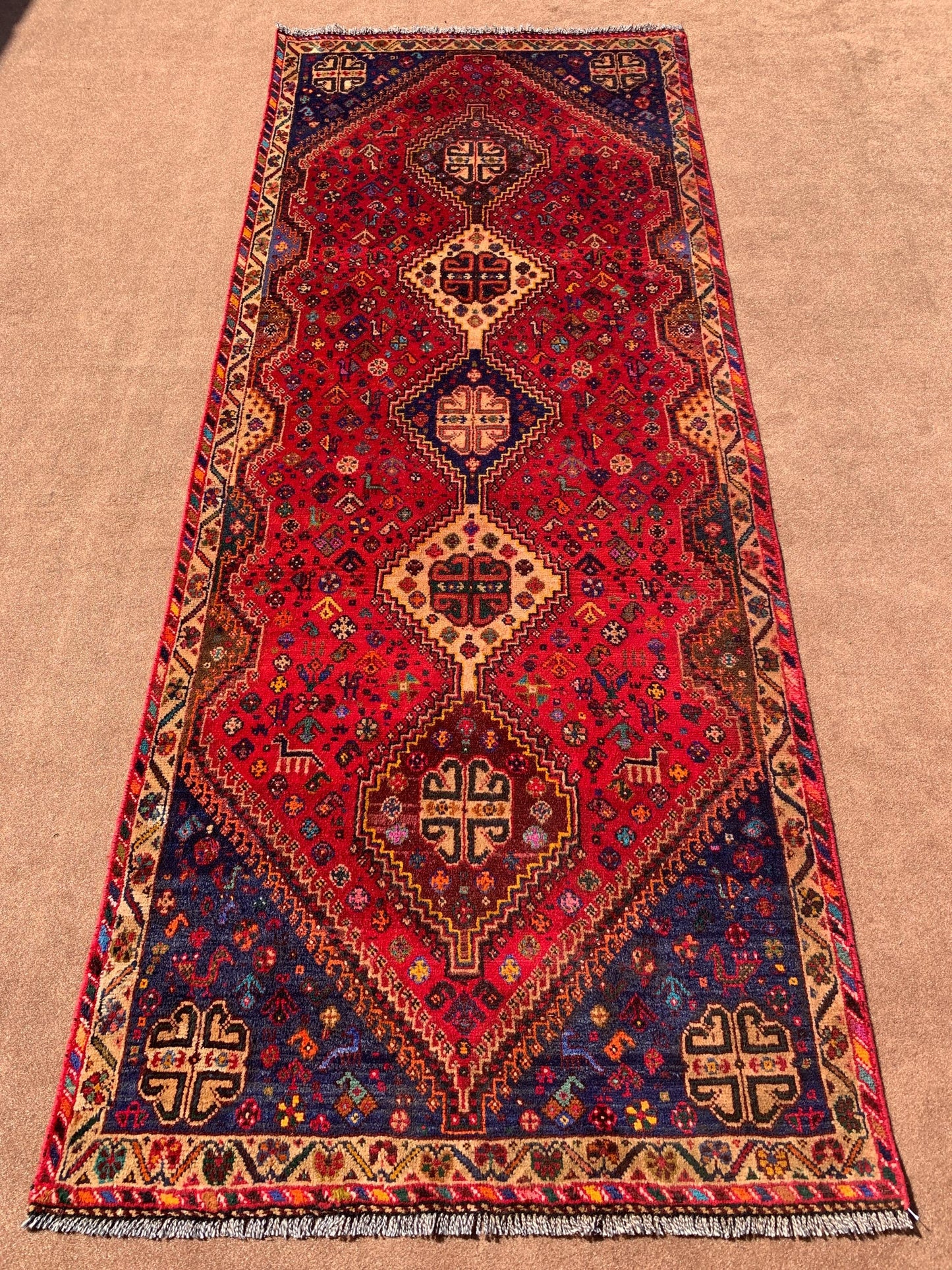 4x10 ft Vintage Pictorial Runner Rug,