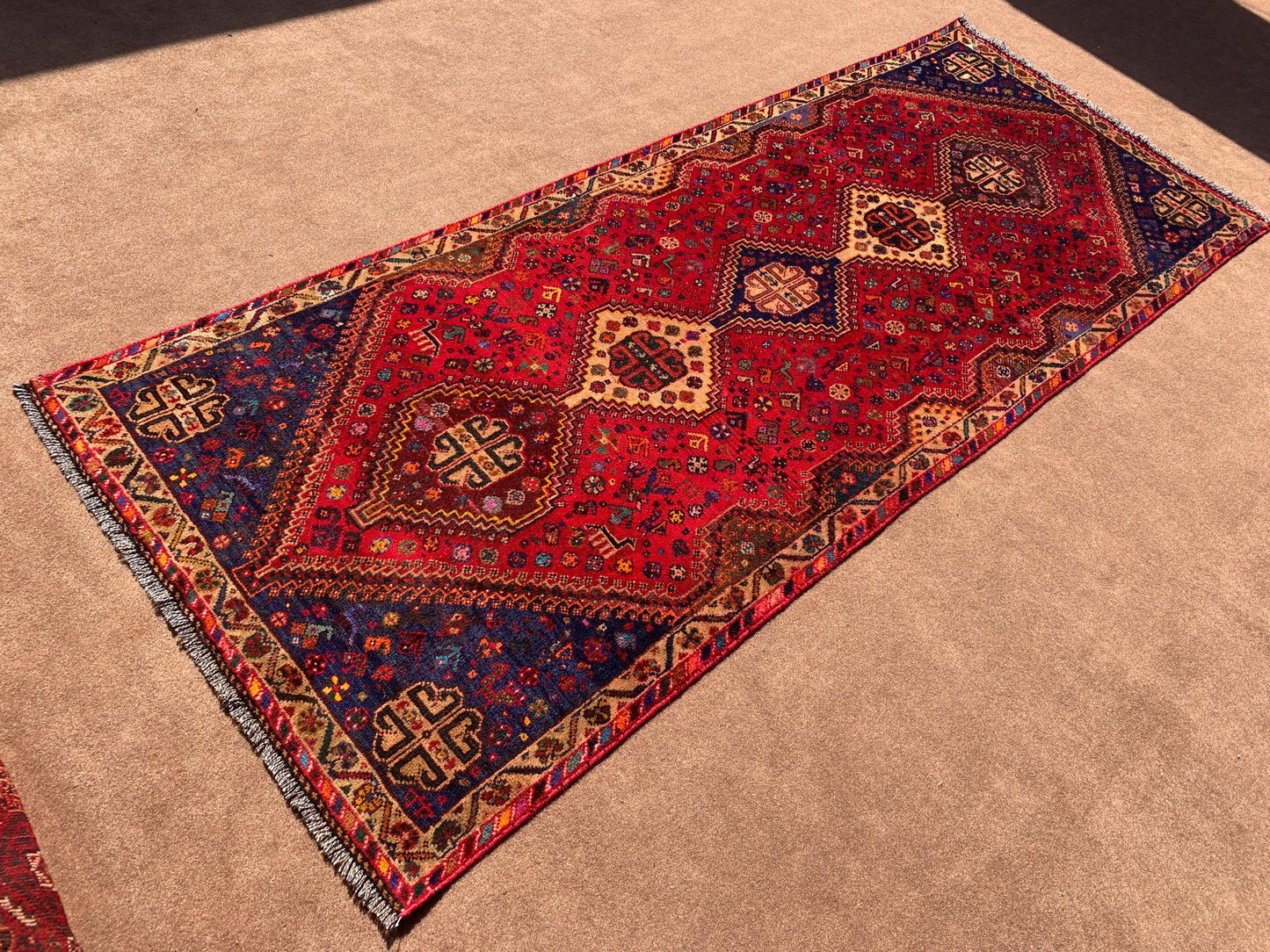 4x10 ft Vintage Pictorial Runner Rug,