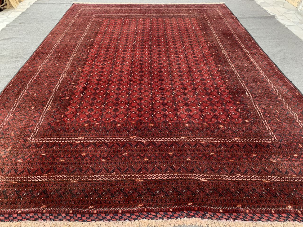 8x11 ft Large Afghan Handmade Turkmen Wool Rug